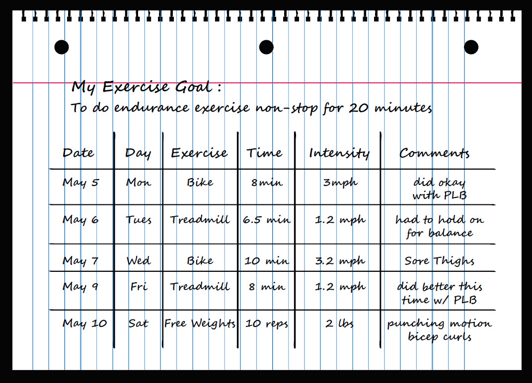 Sample Exercise Log Classles Democracy