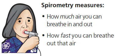 What Spirometry Measures